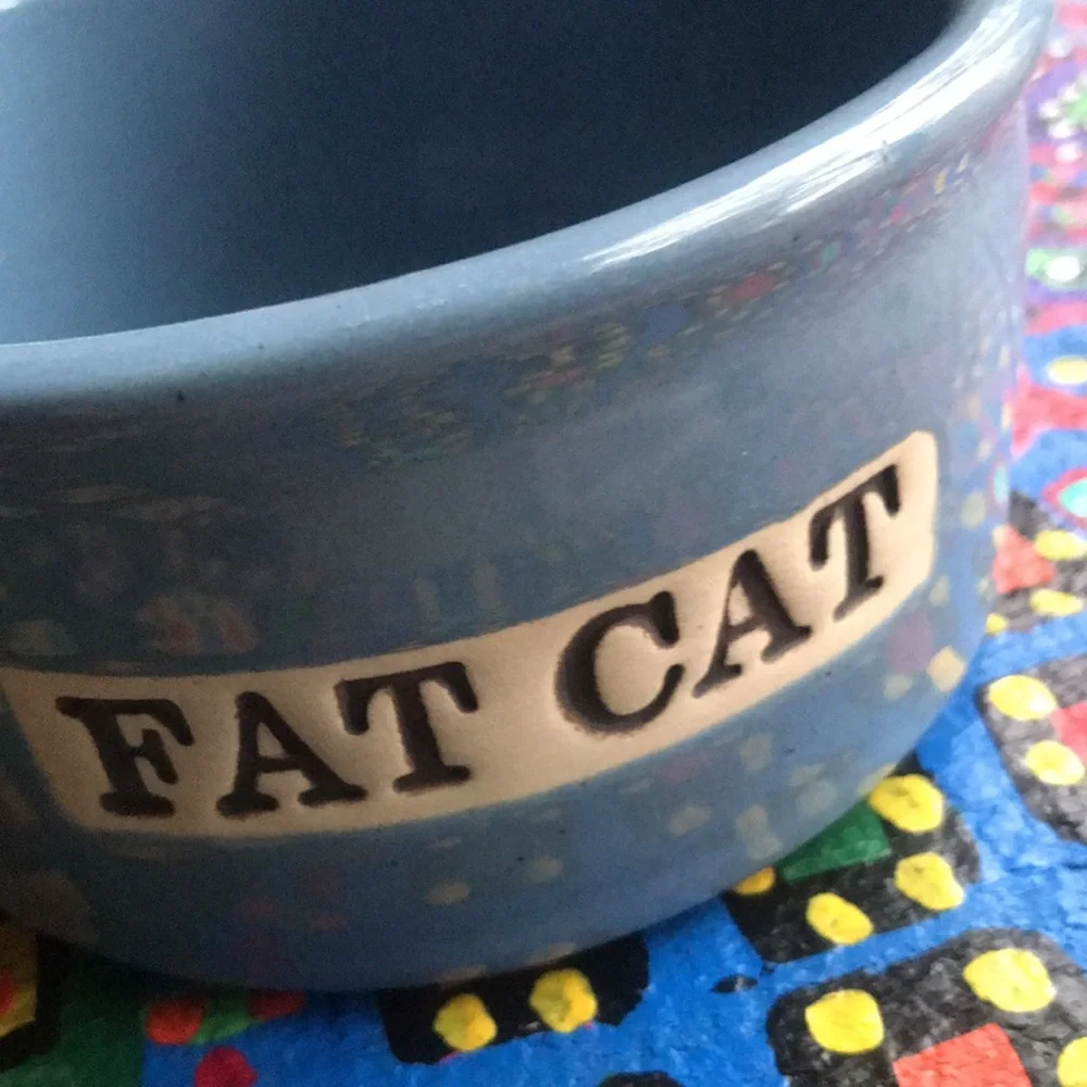 Cat Bowl- Ceramic- “Fat Cat”